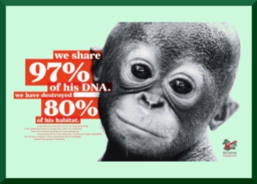 97% of DNA